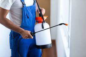 Best Emergency Pest Control  in Stevensville, MI